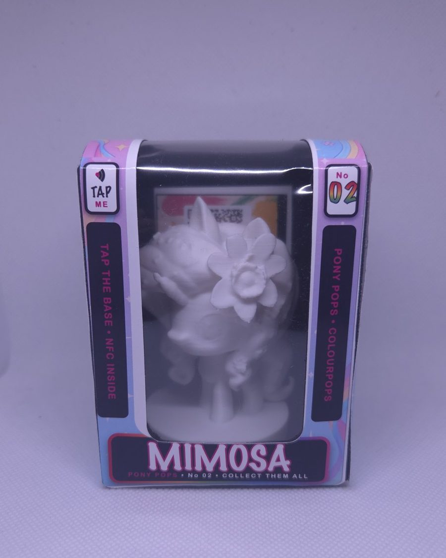 Box Mimosa